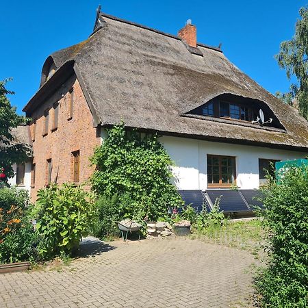 Renovated Apartment In The Old Farmhouse Krusenhagen Extérieur photo