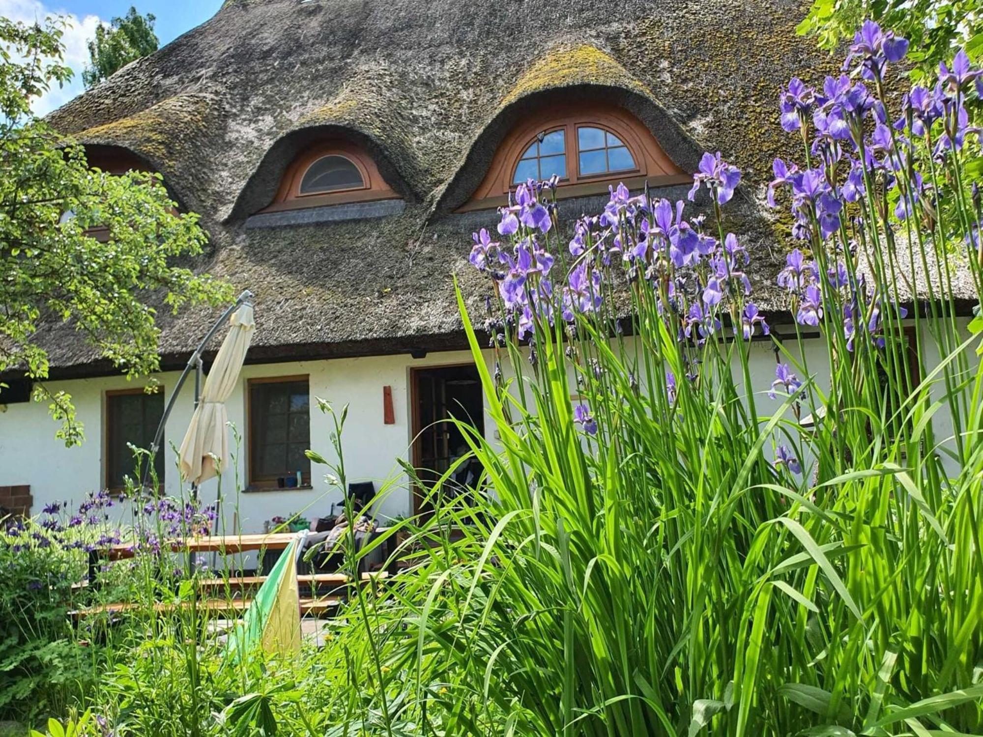 Renovated Apartment In The Old Farmhouse Krusenhagen Extérieur photo