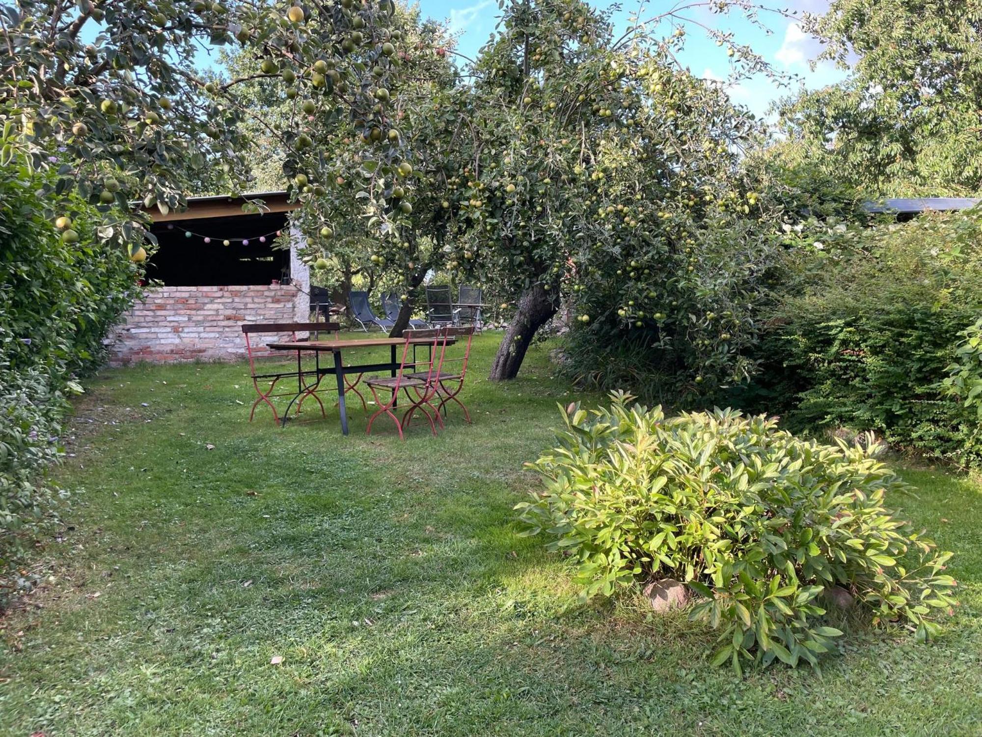 Renovated Apartment In The Old Farmhouse Krusenhagen Extérieur photo